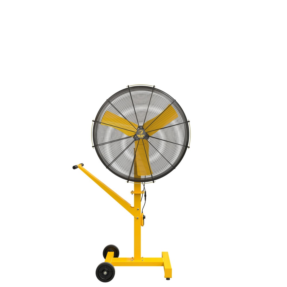 Big Ass Fans 36 AirEye Directional Fan With Portable Low Rider