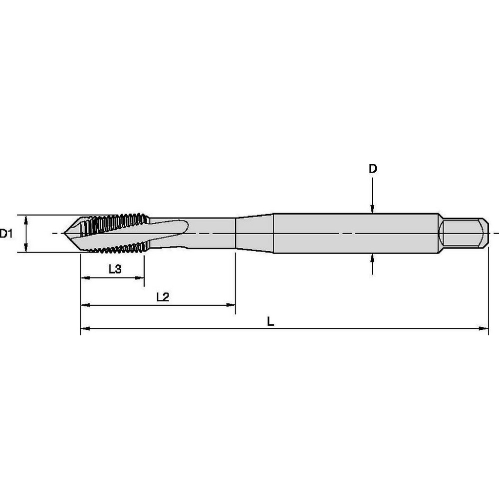 Widia Spiral Flute Tap M X Metric Flute Plug Chamfer Hx