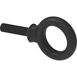 Eye Bolts (Fasteners)