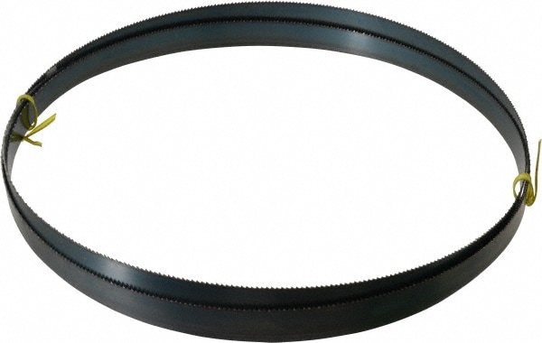 Starrett 16431 Welded Bandsaw Blade: 10 Long, 0.032" Thick, 10 TPI Image