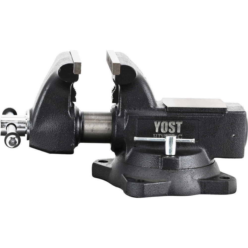 Value Collection - Bench Vise: 5-1/2