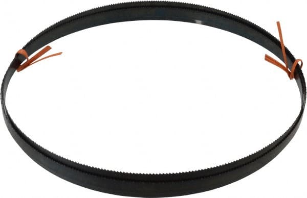 Disston E1750 Welded Bandsaw Blade: 8 9" Long, 0.025" Thick, 10 TPI 