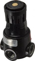 Wilkerson R03-02-000 Compressed Air Regulator: 1/4" NPT, 300 Max psi, Miniature 