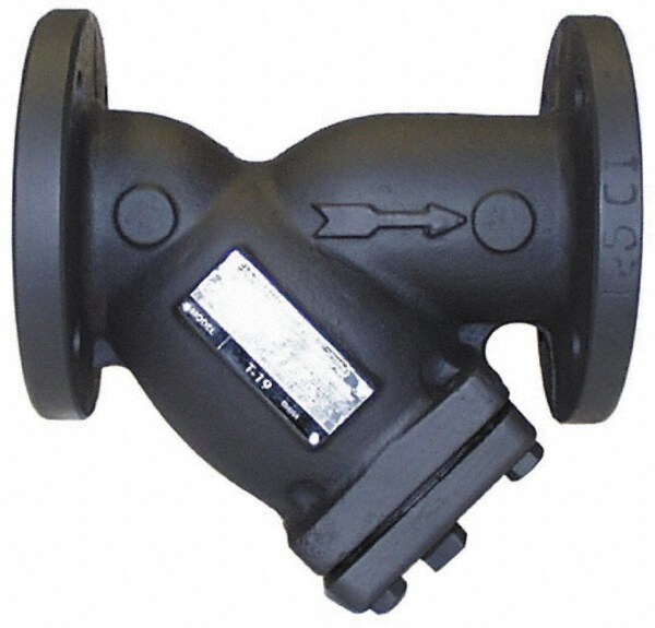 3" Pipe, Flanged Ends, Cast Iron Y-Strainer