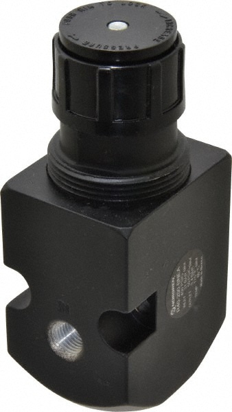 Norgren R40-200-BNEA Compressed Air Regulator: 1/4" NPT, 450 Max psi, Remote Pilot Image