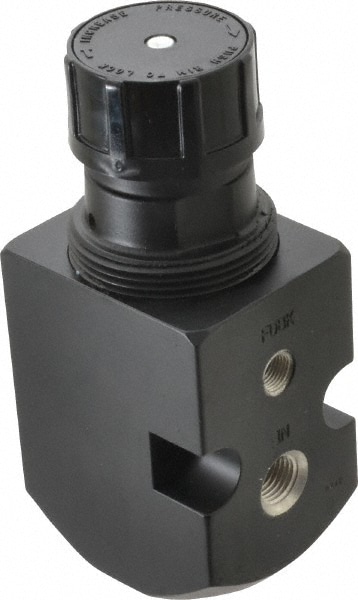 Norgren R41-204-BNSA Compressed Air Regulator: 1/4" NPT, 450 Max psi, Feedback Pilot Image