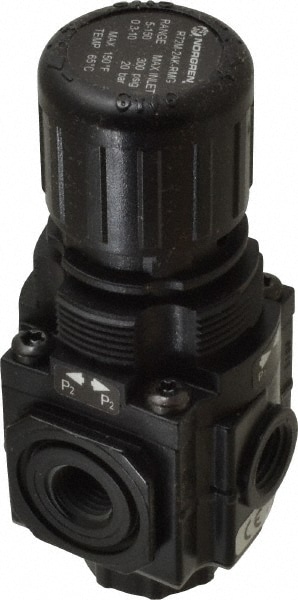 Norgren R72M-2AK-RMG Compressed Air Regulator: 1/4" NPT, 290 Max psi, Manifold Air Image