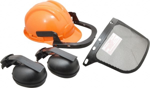 Hard Hat & Mesh Screen with Muffs: