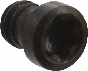 Lock Screw for Indexables: T06P Torx Plus, M2 Thread