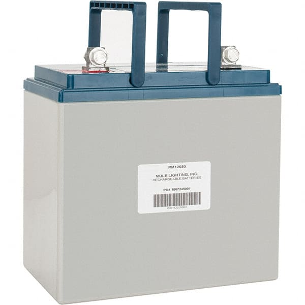 Mule PM12650 Rechargeable Lead Battery: 12V, Heavy-Duty L-Type Terminal 