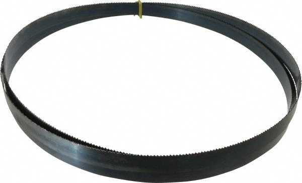 Starrett 16117 Welded Bandsaw Blade: 12 6" Long, 1" Wide, 0.035" Thick, 8 TPI Image