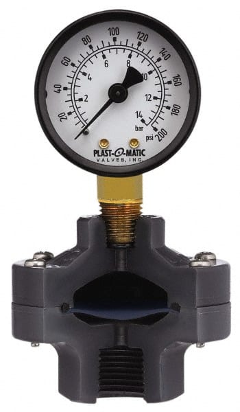 Plast-O-Matic GGVS015-PV 15 Max psi, 2 Inch Dial Diameter, PVC Pressure Gauge Guard and Isolator 