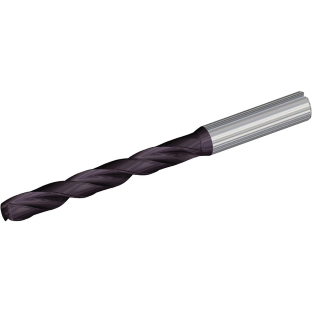 WERHE Drill Bit 1 Count, 300 Mm Auger, 80 Cm Length, Spiral