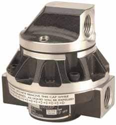 GPI OM025S003-222 1" FNPT Port Oval Gear Flowmeter 