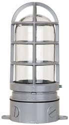 120 Volt, 100 Watt, Incandescent Hazardous Location Light Fixture