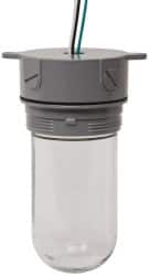 Cooper Crouse-Hinds TP7610 120 Volt, 100 Watt, Incandescent Hazardous Location Light Fixture 