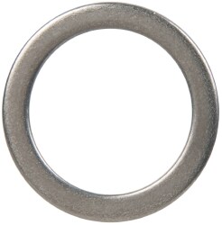 Made in USA SP-SHIM-48-SS Round Shim: 0.062" Thick, 0.751" ID, 1" OD Image