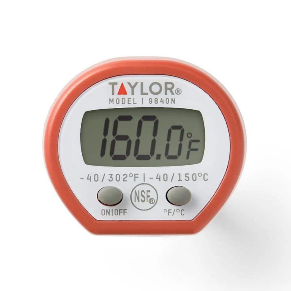 Taylor - Digital Dual Input Digital Thermometer: 500 ° F - 05834783 - MSC  Industrial Supply