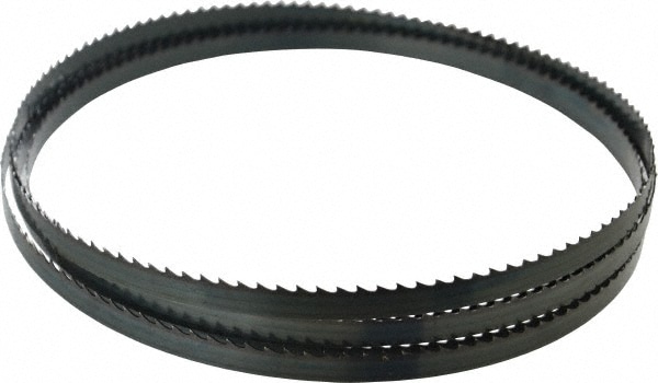 Starrett 16393 Welded Bandsaw Blade: 12 6" Long, 0.025" Thick, 4 TPI Image