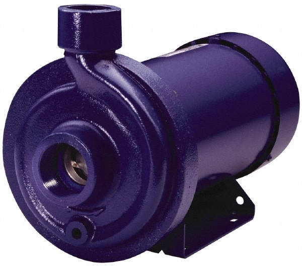 Goulds Pumps 1MC1D1D0 AC Straight Pump: 115/230V, 3.4-3.4/1.7A, 3/4 hp, 1 Phase, Cast Iron Housing, 316L Stainless Steel Impeller Image