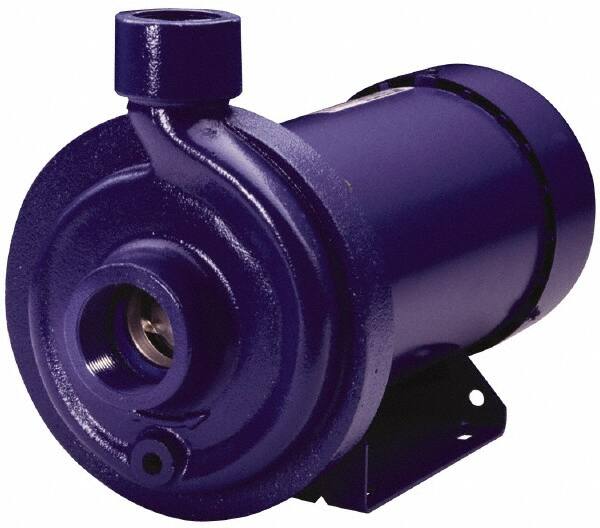 AC Straight Pump: 208 to 230/460V, 4/2A, 1 hp, 3 Phase, Cast Iron Housing, 316L Stainless Steel Impeller