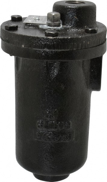 Hoffman Speciality 401494 3/4" NPT Inlet, 1/2" NPT Outlet, 250 Max psi, Cast Iron Water Vent 