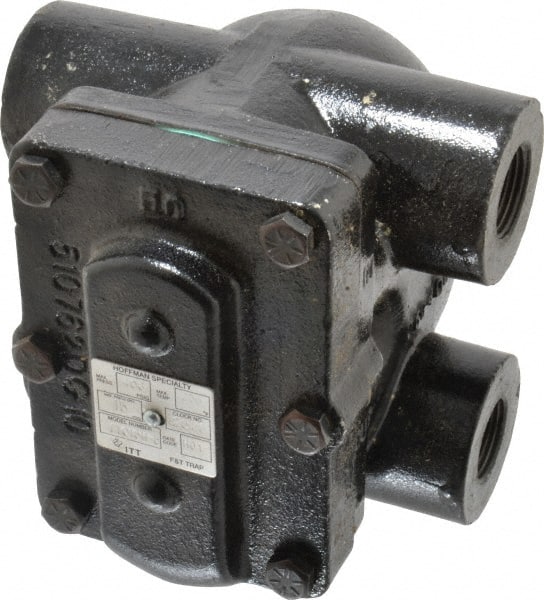 Hoffman Speciality 404200 3/4 Female" Pipe, Cast Iron Float & Thermostatic Steam Trap 