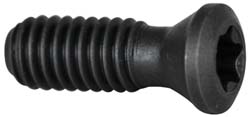 Cap Screw for Indexables: T15 Torx®, M4 x 0.7 Thread