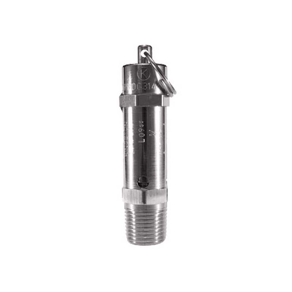 Kingston 112CR-2-125 ASME Safety Relief Valve: 1/4" Inlet, 125 Max psi 