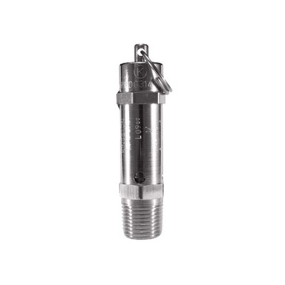 ASME Safety Relief Valve: 1/4" Inlet, 25 Max psi