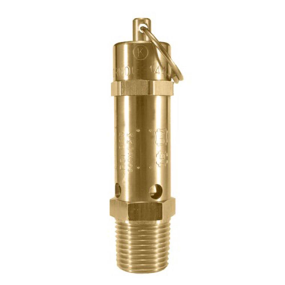 ASME Safety Relief Valve: 1/4" Inlet, 25 Max psi