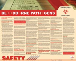 10 Qty 1 Pack 30" Wide x 24" High Laminated Paper Bloodborne Pathogens Information Poster