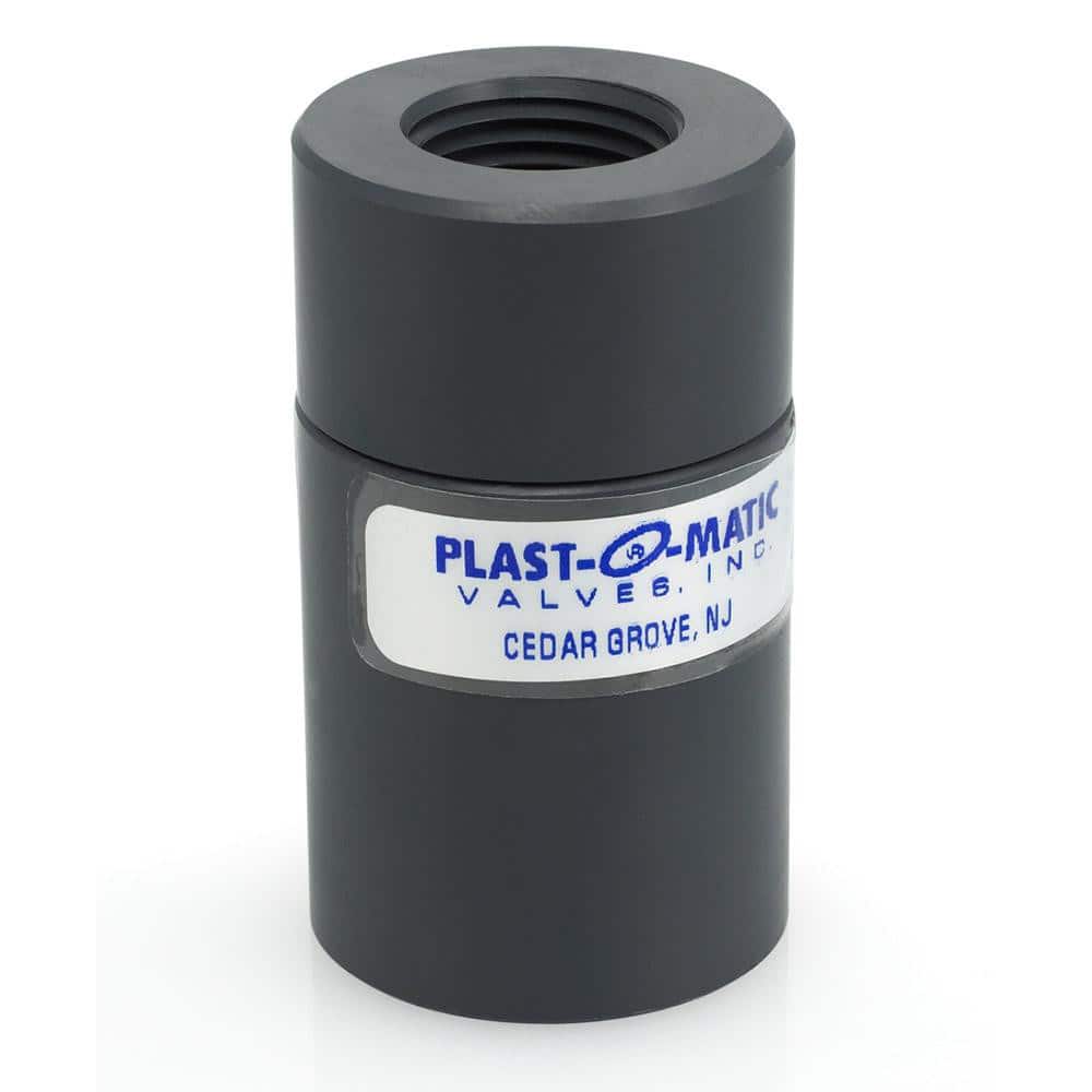 Plast-O-Matic CKD025EP-PV Check Valve: 1/4" Pipe 