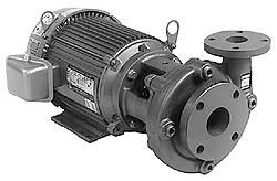AC Straight Pump: 230/460V, 10 hp, 3 Phase, Cast Iron Housing, Stainless Steel Impeller