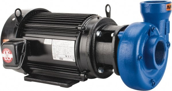 American Machine & Tool 4261-999-95 AC Straight Pump: 230/460V, 10 hp, 3 Phase, Cast Iron Housing, Stainless Steel Impeller 