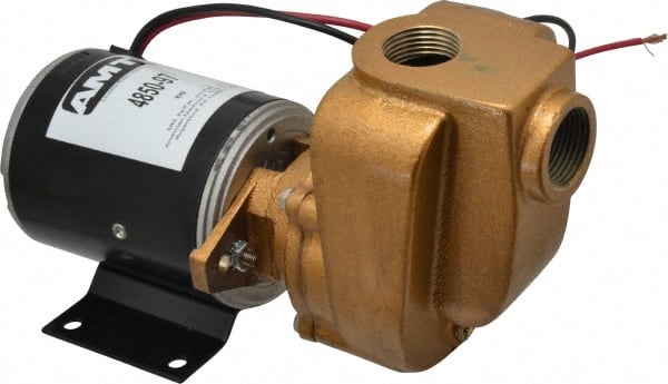 American Machine & Tool 4851-999-97 12 Volt, 1/8 hp, 3/4 Inlet, Bronze Utility Pump 