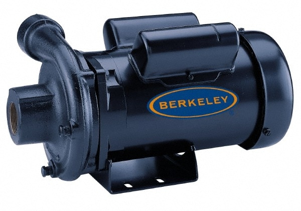 Berkeley S39524 AC Straight Pump: 230V, 2 hp, 1 Phase, Cast Iron Housing, Noryl Impeller 