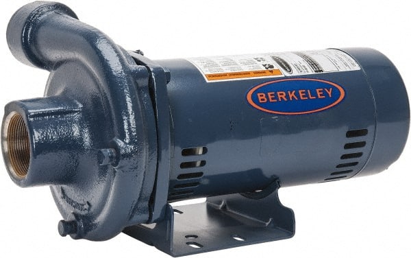 Berkeley S39540 AC Straight Pump: 208 to 230/460V, 2-1/2 hp, 3 Phase, Cast Iron Housing, Brass Impeller 