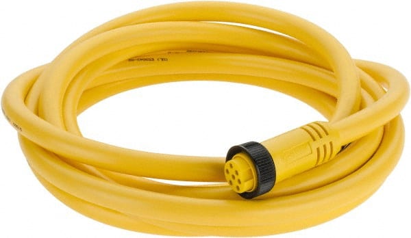 Brad Harrison 207000A01F120 8 Amp, Female Straight to Pigtail Cordset Sensor and Receptacle 