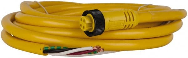 Brad Harrison 104000A01F120 10 Amp, Female Straight to Pigtail Cordset Sensor and Receptacle 