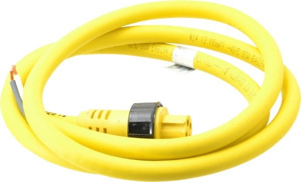 Brad Harrison 32638 15 Amp, Female Straight to Pigtail Cordset Sensor and Receptacle 