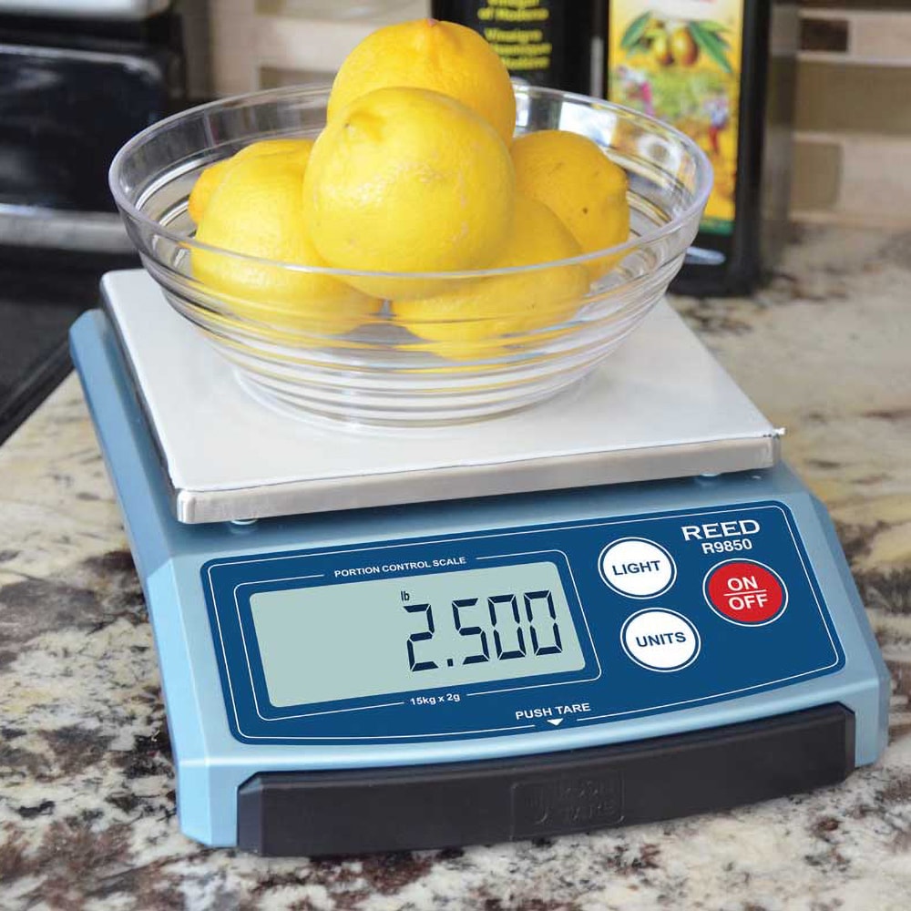 Taylor - 2 Lb Portion Control Scale - 85501880 - MSC Industrial Supply