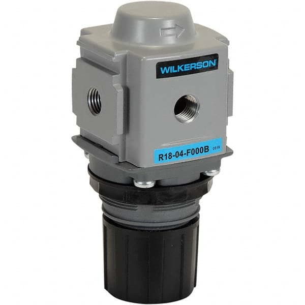 Wilkerson R18-02-F000B Compressed Air Regulator: 1/4" NPT, 300 Max psi, Compact 
