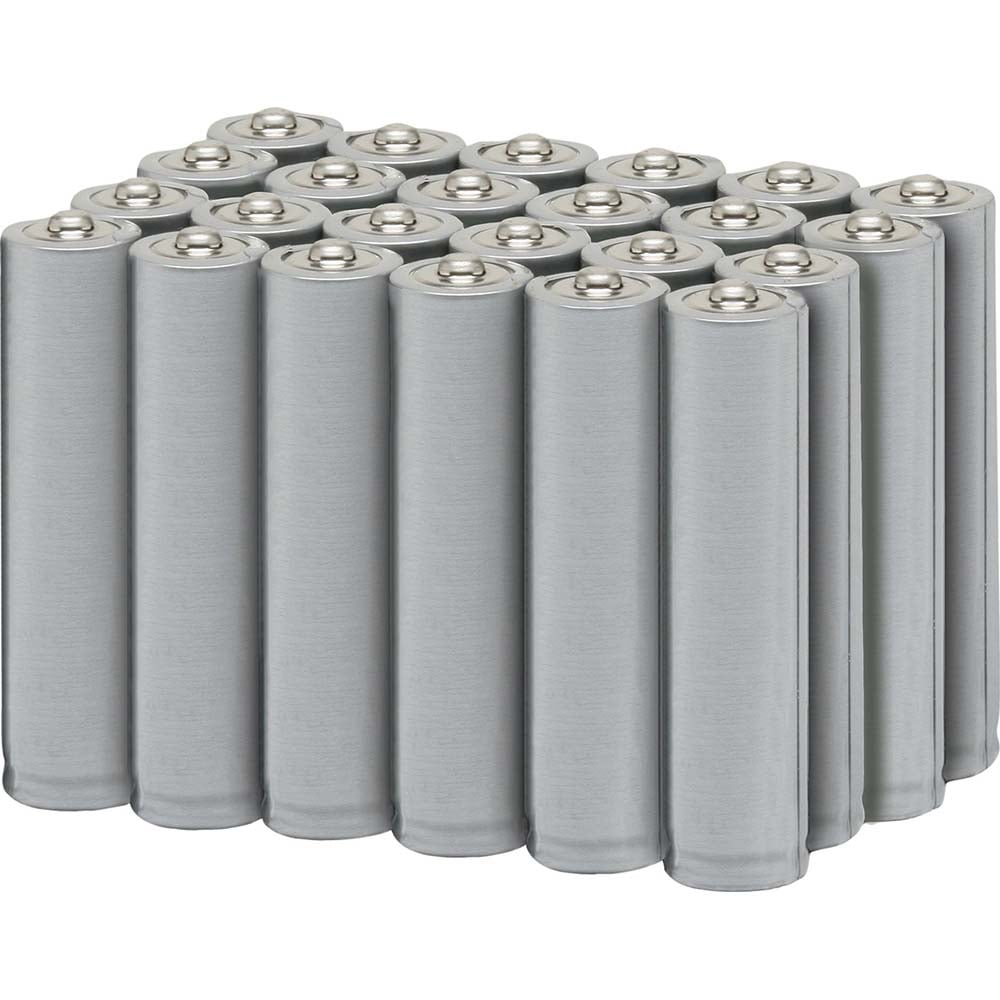 Standard Battery: Size AA, Lithium