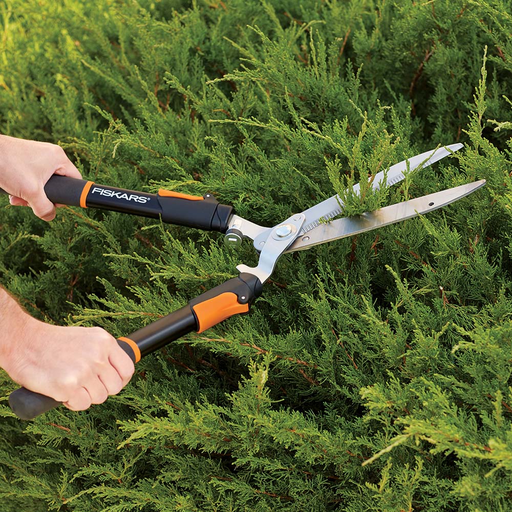 hedge shears