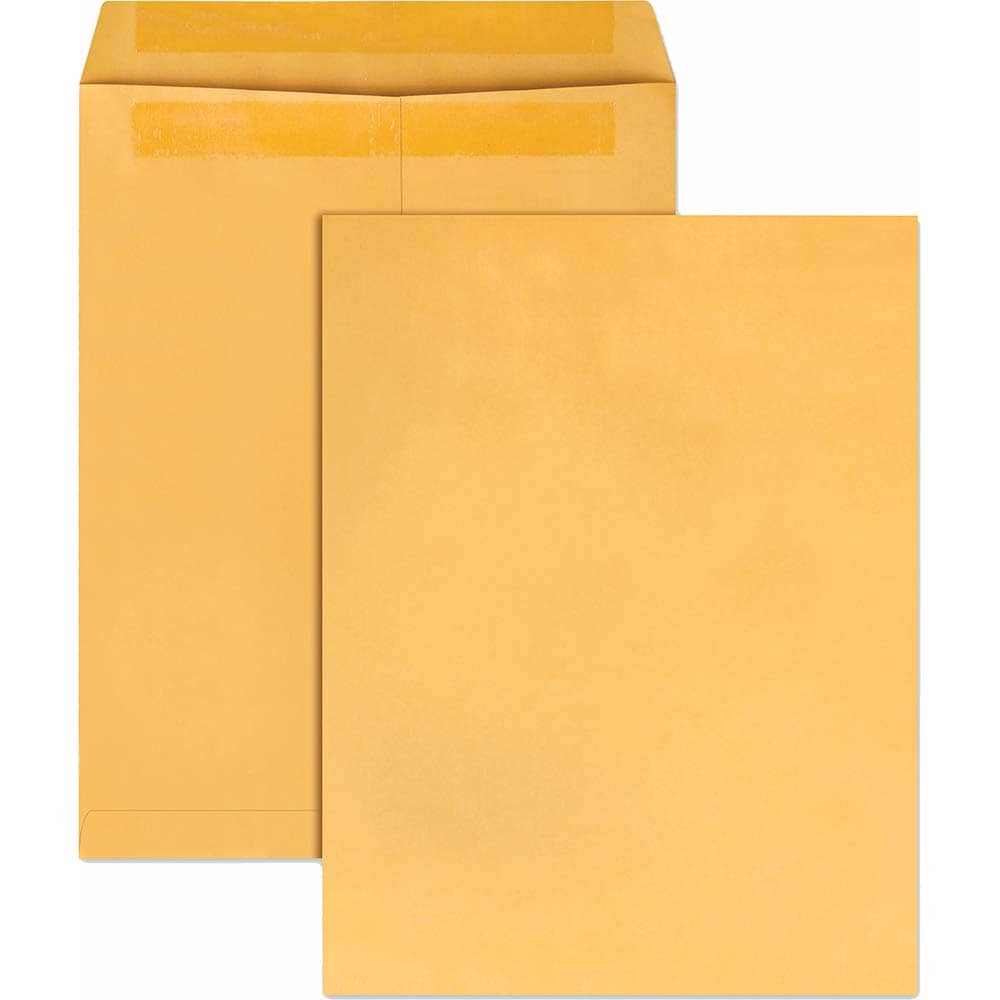 Quality Park - Catalog Envelope Mailer: 13