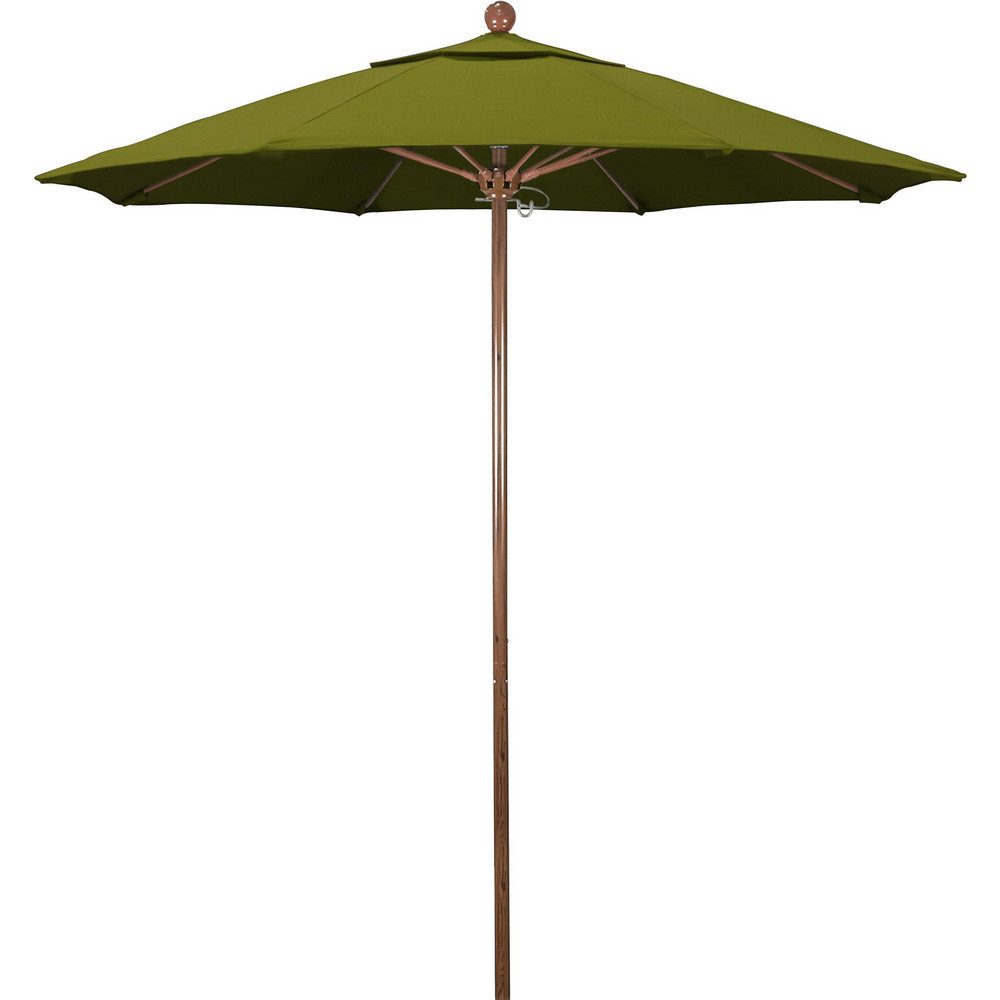 California Umbrella Patio Umbrellas; Fabric Color Ginkgo; Frame