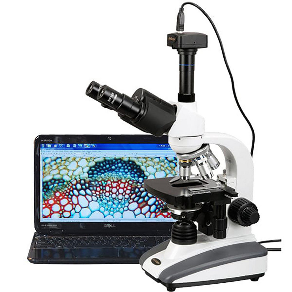 AmScope Microscopes; Microscope Type Compound ; Maximum