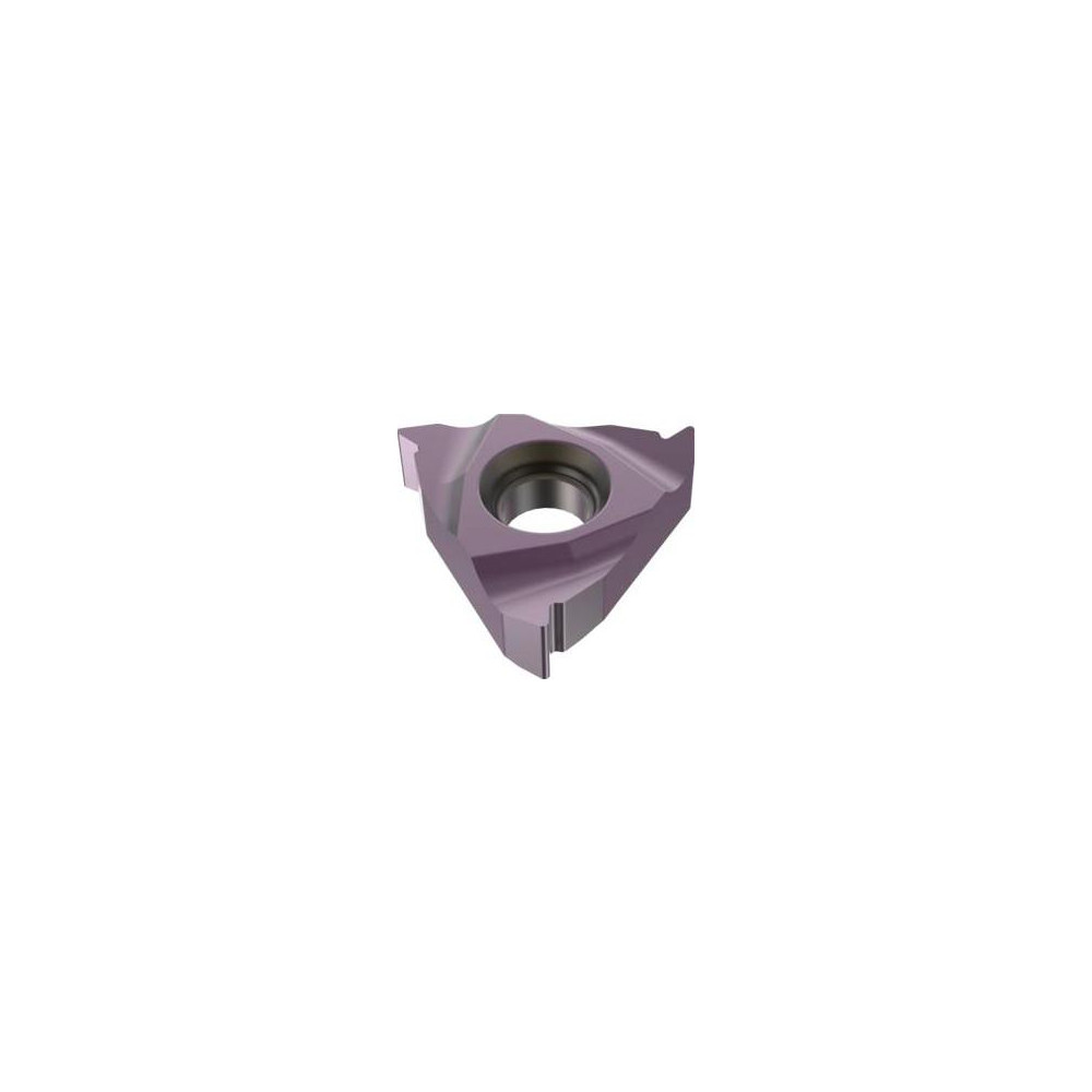 Seco - Laydown Threading Insert: 16NR14W TTP2050, Carbide | MSC Direct