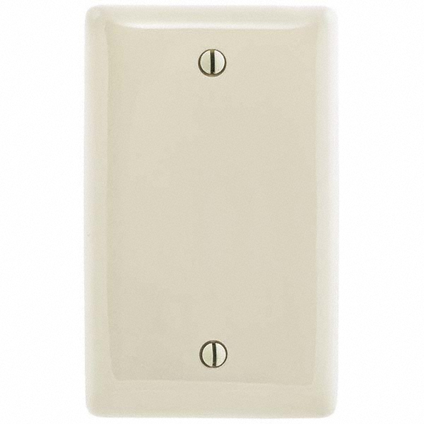 Hubbell Wiring DeviceKellems Wall Plates; Wall Plate Type Blank